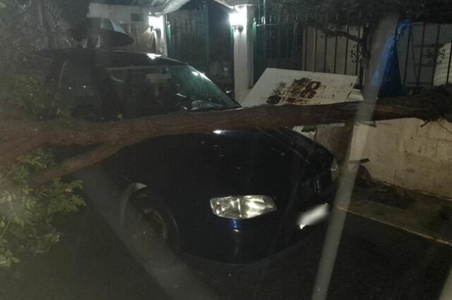 Στη δίνη της κακοκαιρίας η Κρήτη: Κεραυνός έριξε δέντρο σε αυτοκίνητο