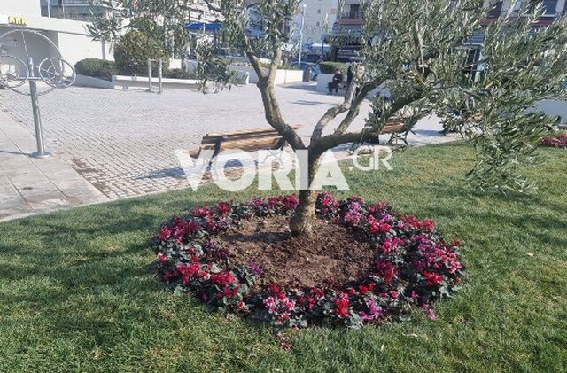 Θεσσαλονίκη – Πάρκο αθλητικής φιλίας: Αφαίρεσαν τις ταμπέλες με τα ονόματα των 3 θυμάτων οπαδικής βίας
