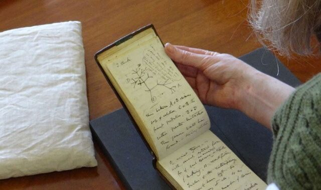 Σημειωματάρια του Δαρβίνου που είχαν εξαφανιστεί για 20 χρόνια επέστρεψαν στο Κέιμπριτζ