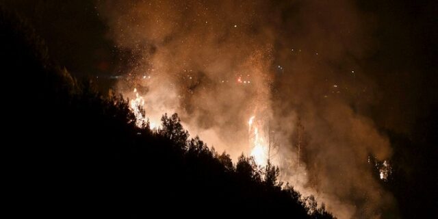 Φωτιά στην Ηλεία: Σε ύφεση αφού έκαψε 1000 στρέμματα δάσους