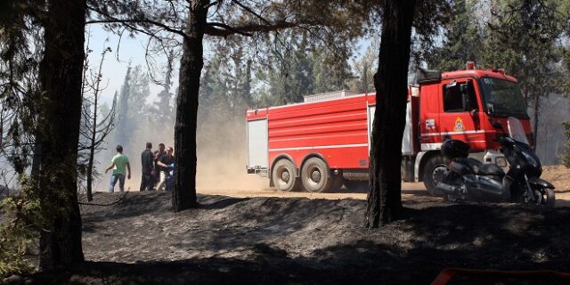 Θεσσαλονίκη: Φωτιά στο δάσος του Σέιχ Σου