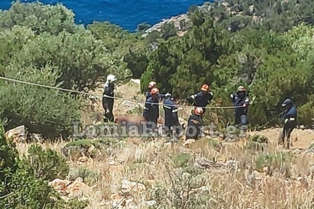 Βοιωτία: Σκαπτικό μηχάνημα έπεσε σε γκρεμό – Νεκρός ο χειριστής του