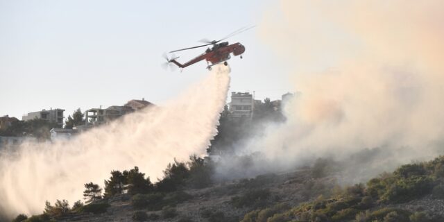 Πάνω από 1.800 δασικές φωτιές από την έναρξη της αντιπυρικής περιόδου και 120 συλλήψεις εμπρηστών