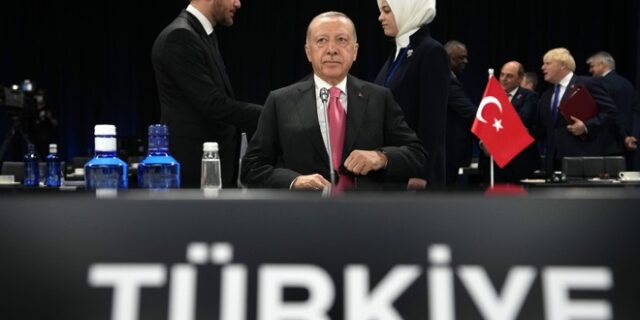 Η κυβέρνηση είδε τον Ερντογάν στο ΝΑΤΟ με “ροζ γυαλιά” 