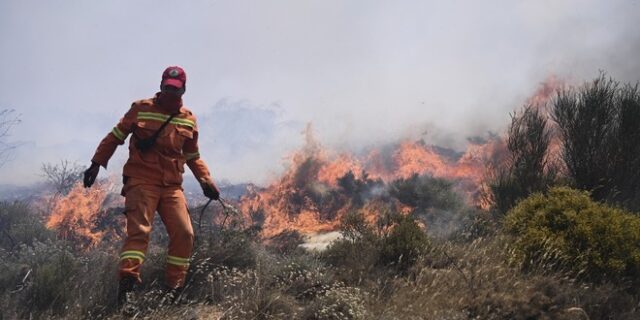 Παιανία: Φωτιά σε χορτολιβαδική έκταση