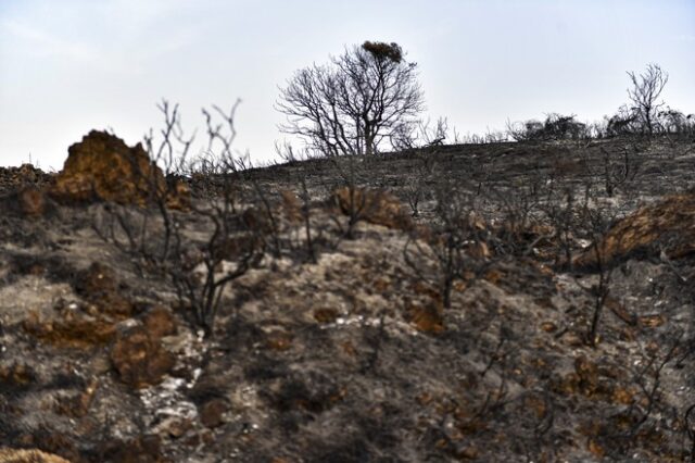 Ισπανία: Μαίνονται οι φωτιές – Στάχτη σχεδόν 200.000 στρέμματα