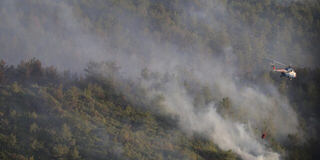 Τουρκία: Άνδρας έβαλε φωτιά σε δάσος μετά από καυγά με συγγενείς του