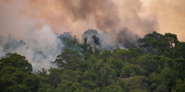 Φωτιά στο δάσος Δαδιάς: Στο νοτιοδυτικό τμήμα η μεγάλη μάχη – Ενεργό μέτωπο μόνο στην περιοχή Φυλακτού