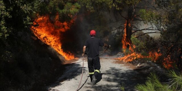 Εύβοια: Φωτιά στα Ψαχνά – Διακοπή ρεύματος στην περιοχή