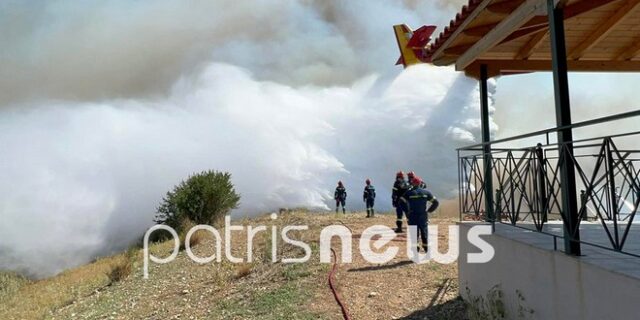 Φωτιά στα Άγναντα Ηλείας: Προφυλακίστηκε ο 58χρονος που συνελήφθη για εμπρησμό