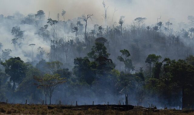 Αμαζόνιος: Σε επίπεδα ρεκόρ η αποψίλωση – Ανησυχία για το μέλλον του δάσους