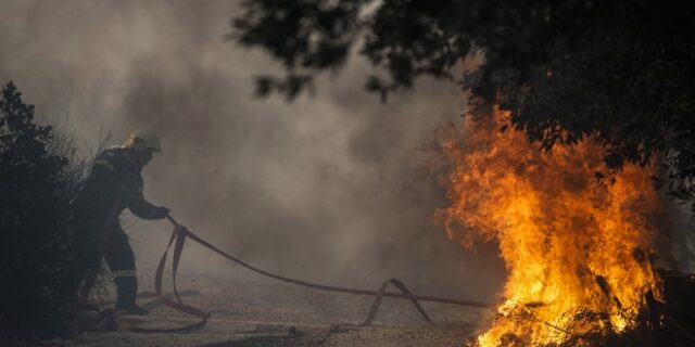 Χαλκιδική: Υπό έλεγχο η φωτιά στη Νέα Καλλικράτεια