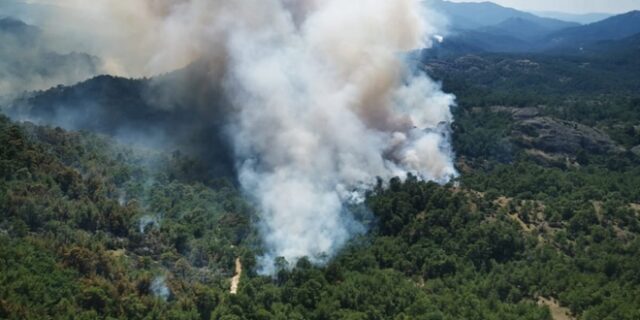 Φωτιές: Για έκτη μέρα καίγεται το δάσος της Δαδιάς – Αναζωπυρώσεις στη Λέσβο