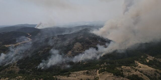 Και οι ένοπλες Δυνάμεις στη μάχη με τις φλόγες – Ανεξέλεγκτη η φωτιά στο δάσος Δαδιάς