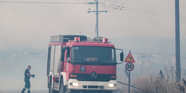 Άγιο Όρος: Σε εξέλιξη φωτιά σε δάσος