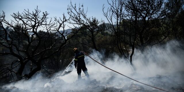 Κορωπι: Φωτιά στην Αγία Μαρίνα – Τέθηκε γρήγορα υπό έλεγχο