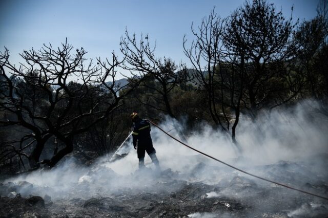 Κορωπι: Φωτιά στην Αγία Μαρίνα – Τέθηκε γρήγορα υπό έλεγχο