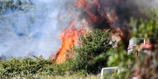 Πάτρα: Φωτιά σε αγροτοδασική έκταση στην περιοχή Καλλιθέα