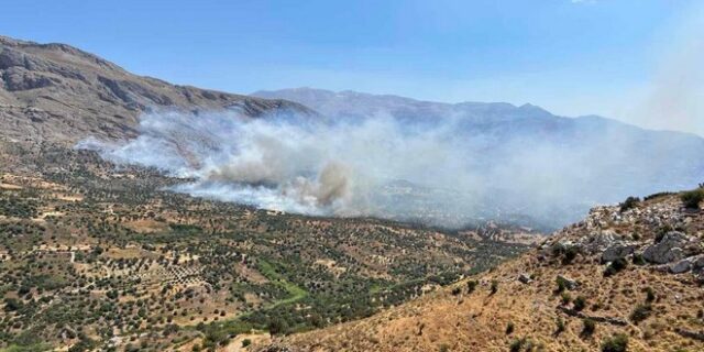 Φωτιά στο Ρέθυμνο: Σοβαρό πρόβλημα με την τροφή των ζώων – Έκκληση για βοήθεια από τον δήμαρχο