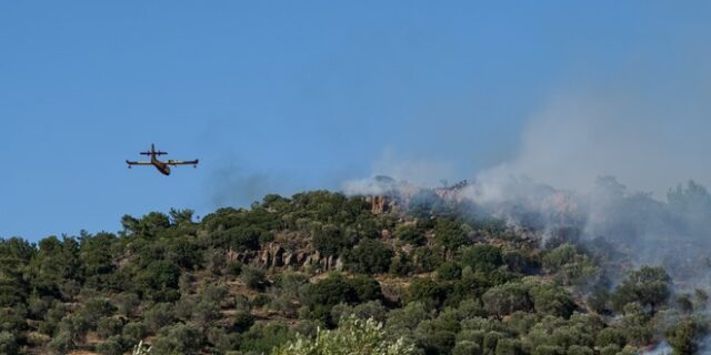 Φθιώτιδα: Φωτιά σε αγροτοδασική έκταση στους Βελεσιώτες