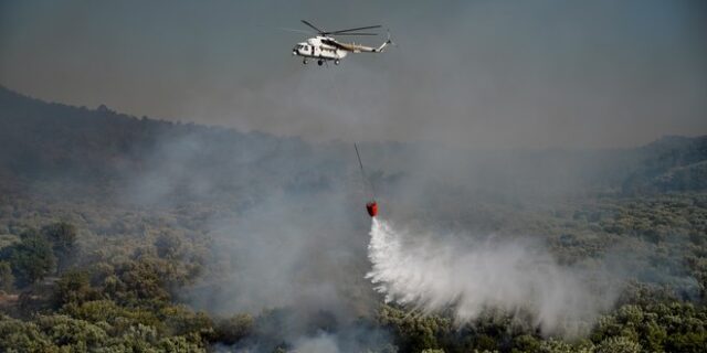 Σε ύφεση η φωτιά στη Σαμοθράκη – Παραμένει σε εξέλιξη η φωτιά στον Δομοκό και στέλνονται ενισχύσεις