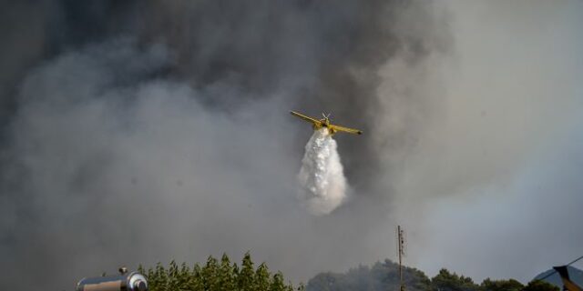 Φωτιές: Συνεχίζεται η μάχη με τις φλόγες σε Ηλεία, Λέσβο – Βρέχει στον Έβρο