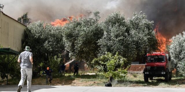 Μαίνεται η φωτιά σε Ηλεία και Δαδιά – Νέες αναζωπυρώσεις στη Λέσβο