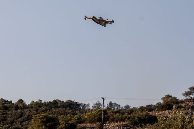 Φωτιά στη Μάνδρα: Πολύ καλύτερη η εικόνα σήμερα – Διάσπαρτες μικροεστίες