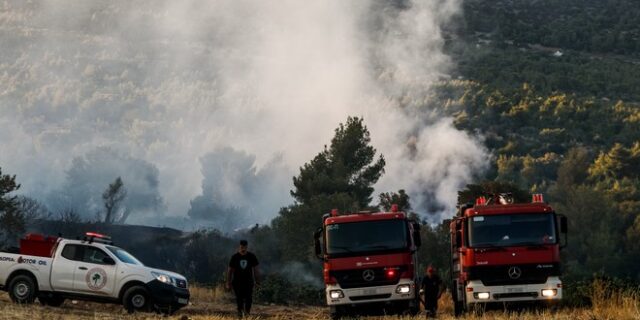 Φωτιές στην Αττική: “Στάχτη” 20.350 στρέμματα στην Πεντέλη – Ξεκίνησαν οι αυτοψίες στα καμένα