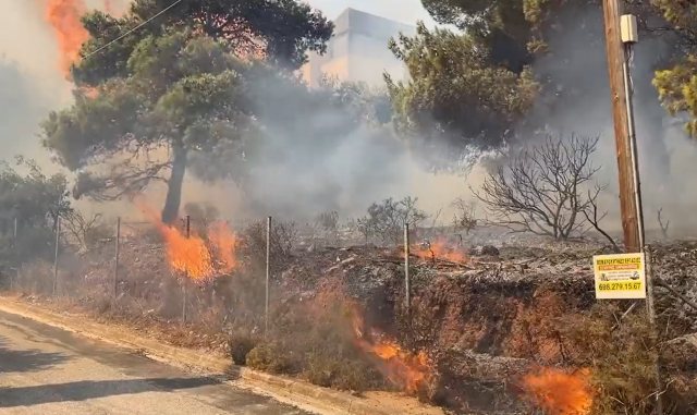 Φωτιά στην Πεντέλη: Το NEWS 24/7 μεταδίδει συγκλονιστικές εικόνες από τη μάχη με τις φλόγες