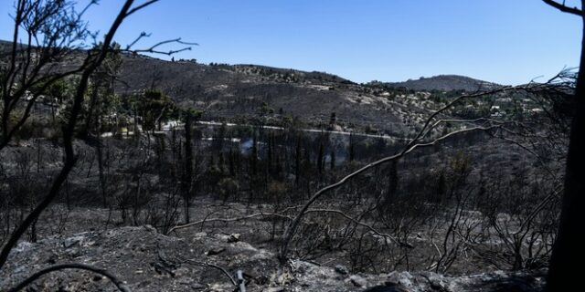 Φωτιά στην Πεντέλη: Στάχτη 27.817 στρέμματα – Η καταγραφή της υπηρεσίας Copernicus