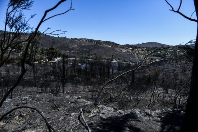 Φωτιά στην Πεντέλη: Στάχτη 27.817 στρέμματα – Η καταγραφή της υπηρεσίας Copernicus