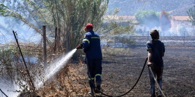 Άμεσα αντιμετωπίστηκε νέα φωτιά στην Άρτα – 3.800 φωτιές σε δάση από την έναρξη της αντιπυρικής περιόδου