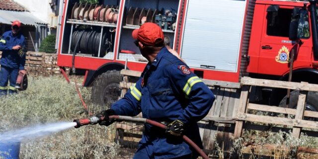 Μία σύλληψη για την φωτιά στην Καλλιθέα Αχαΐας