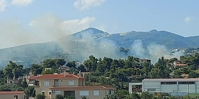 Υπό μερικό έλεγχο η φωτιά στην Παλλήνη