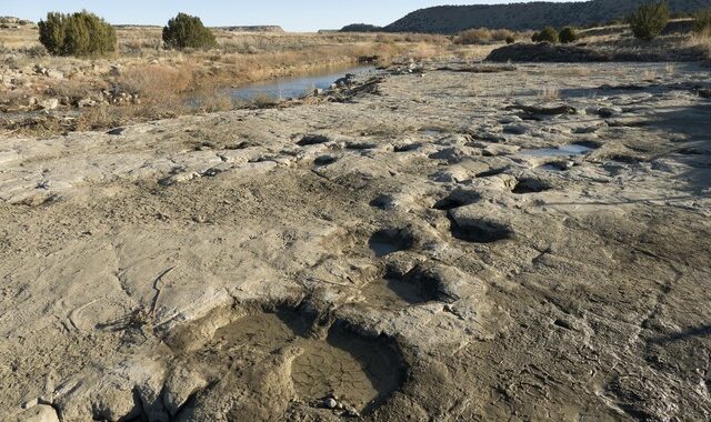 ΗΠΑ: Η ξηρασία αποκάλυψε ίχνη δεινοσαύρων στην κοίτη ποταμού στο Τέξας