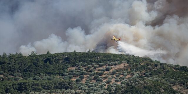 Φθιώτιδα: Φωτιά στο Πετρωτό Δομοκού