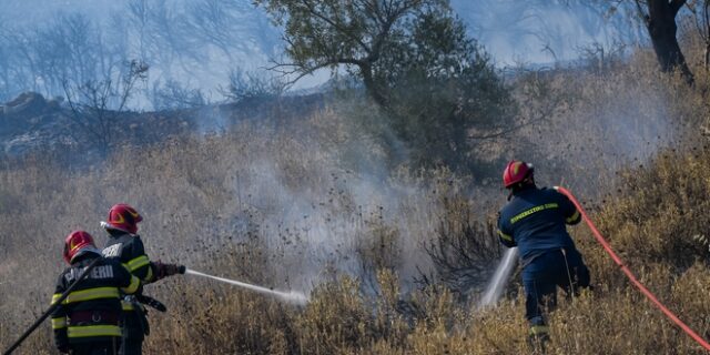 Νέα φωτιά στην Σαμοθράκη – Σε εξέλιξη στο Δομοκό, καλύτερη η εικόνα στην Αχαΐα