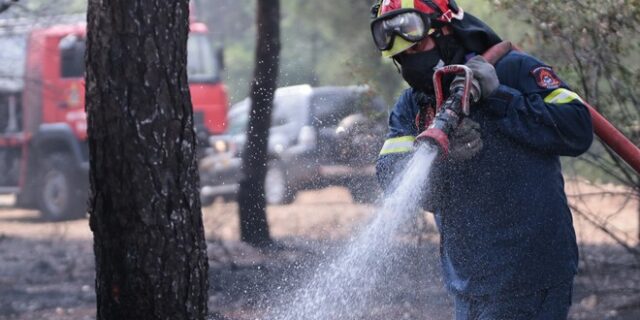 Φωτιά στη Δανακό Νάξου: Επιχειρούν και εναέρια μέσα