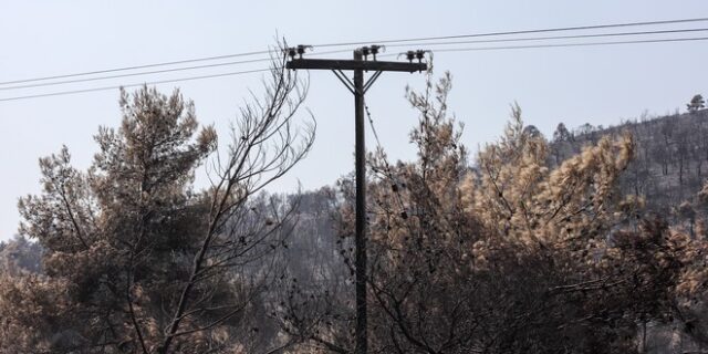 Φωτιές στη Θάσο: Προθεσμία να απολογηθεί την Παρασκευή έλαβε ο 65χρονος κατηγορούμενος