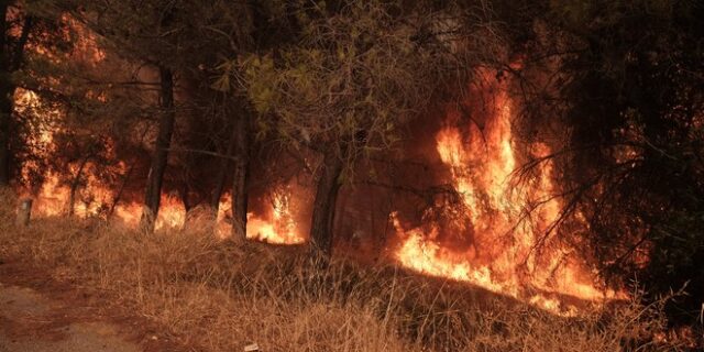 Φωτιές: Πολύ υψηλός κίνδυνος πυρκαγιάς την Κυριακή για πέντε περιφέρειες της χώρας