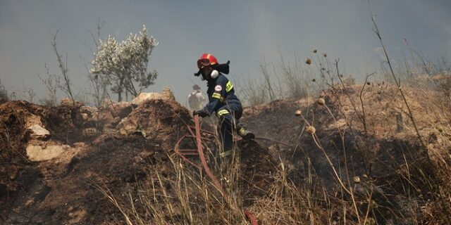 Οριοθετήθηκε η φωτιά στο Άγιο Όρος