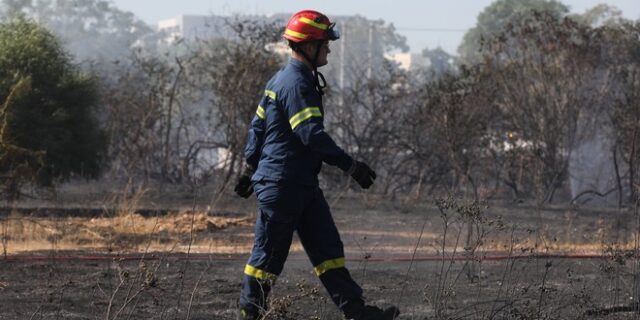 Σε ύφεση η φωτιά στη Θάσο – Οριοθετήθηκε το μέτωπο στο Βιάννο Κρήτης