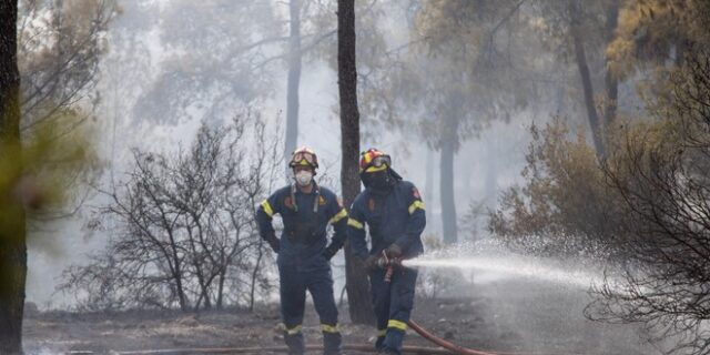 Θεσσαλονίκη: Καλύτερη η εικόνα της φωτιάς στο Σέιχ Σου – Συνεχίζονται οι ρίψεις από εναέρια μέσα