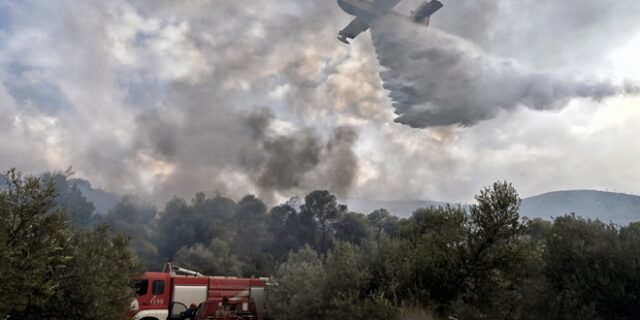 Υπό μερικό έλεγχο η φωτιά στην Κέρκυρα