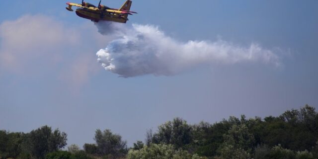 Ηλεία: Φωτιά στην περιοχή Ανάληψη