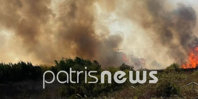 Ηλεία: Φωτιά κοντά σε σπίτια στη Σπιάντζα