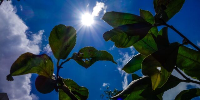 Καιρός: Έως τους 35 η θερμοκρασία το Σάββατο