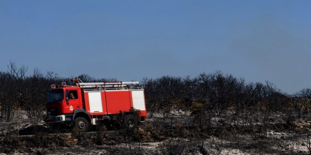 Σε ύφεση η φωτιά στα Κύθηρα – Οριοθετήθηκε η πυρκαγιά στην Ναυπακτία