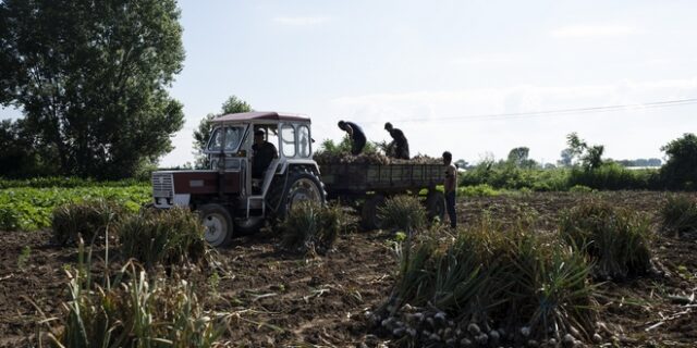 Νότια Εύβοια: Δίαυλος ανάπτυξης επιχειρήσεων αγροδιατροφής ο τουρισμός